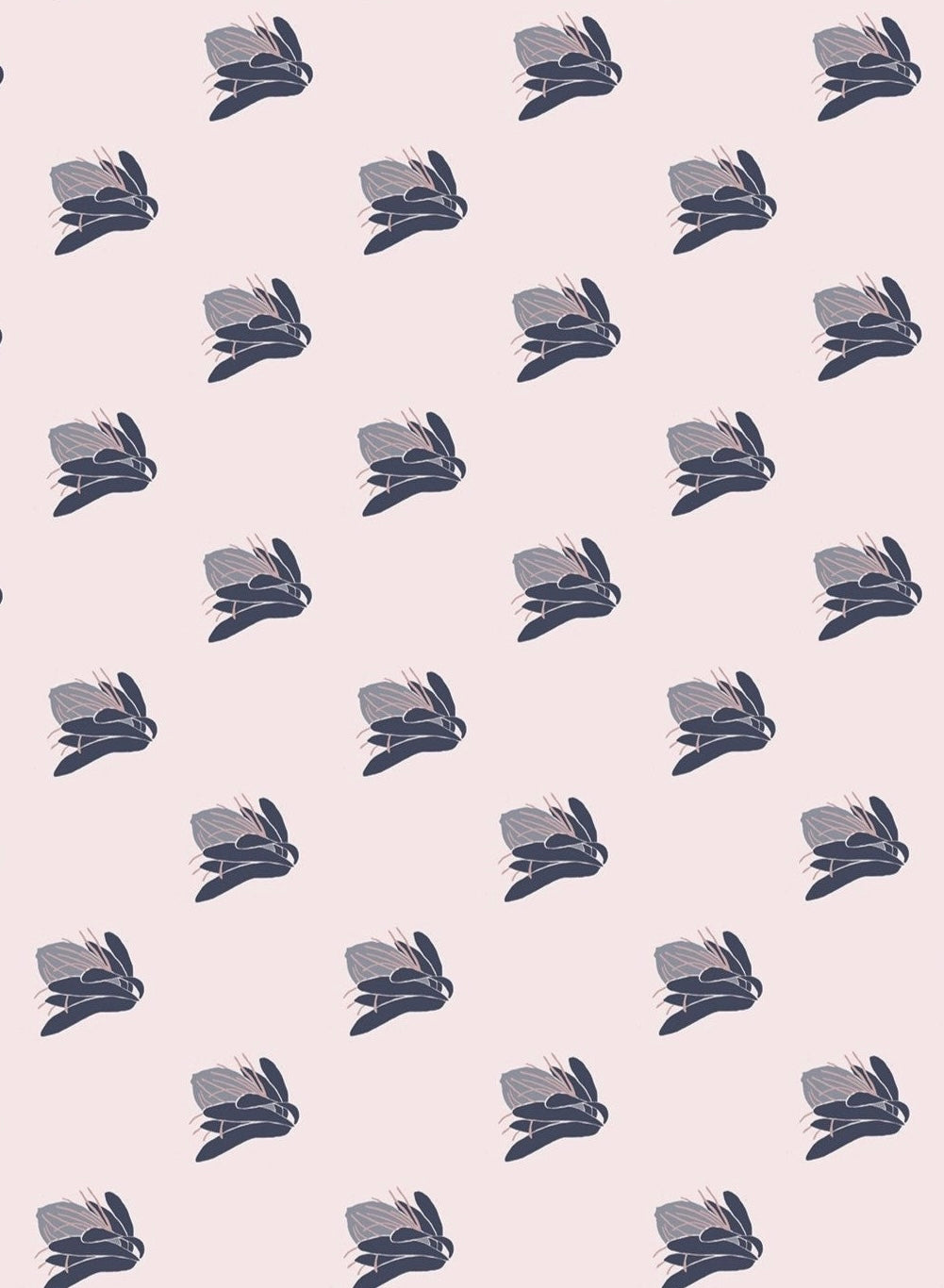 009 100% Organic Cotton Protea Fabrics