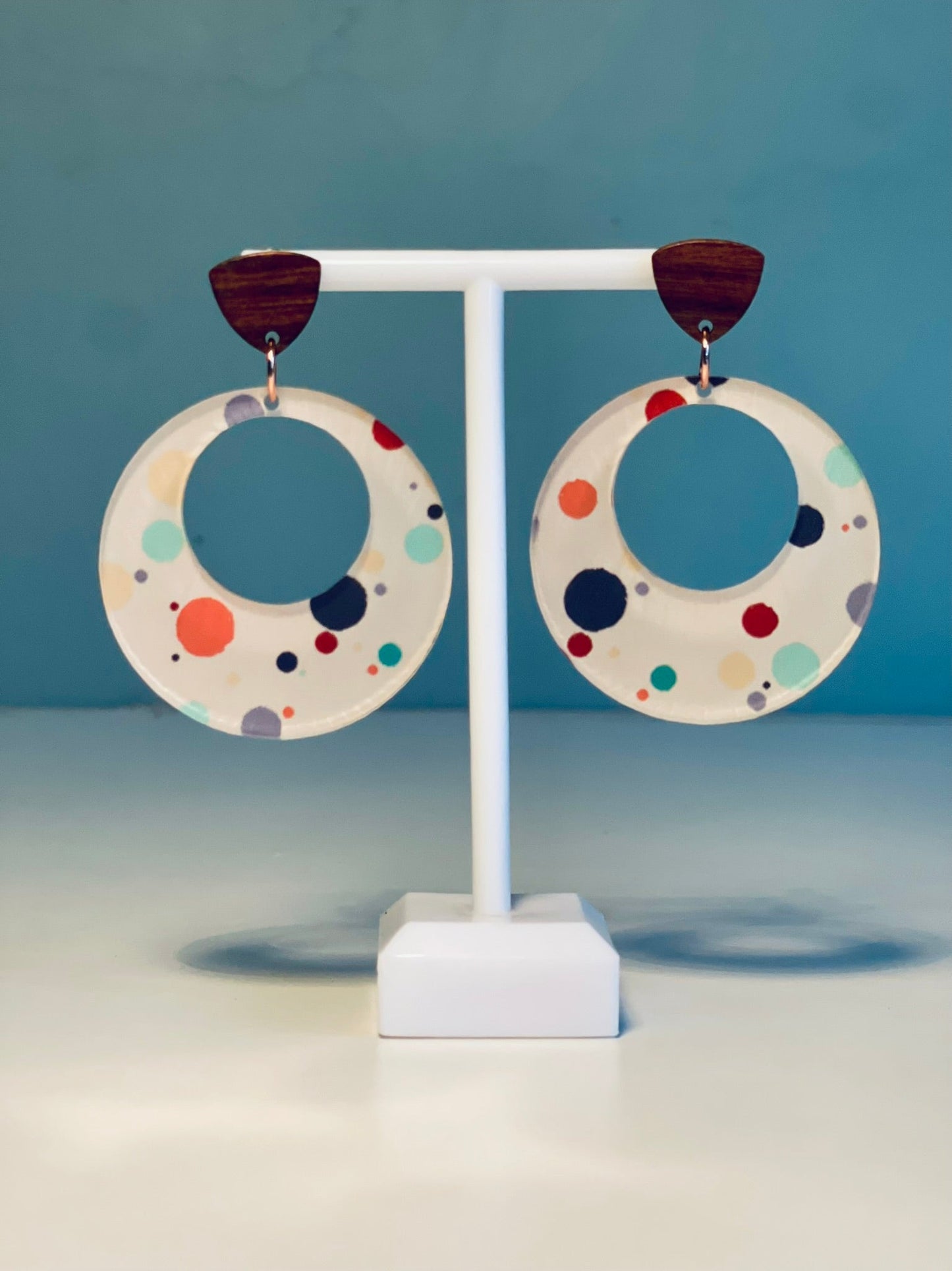011 Rainbow and Polka Dot Earrings
