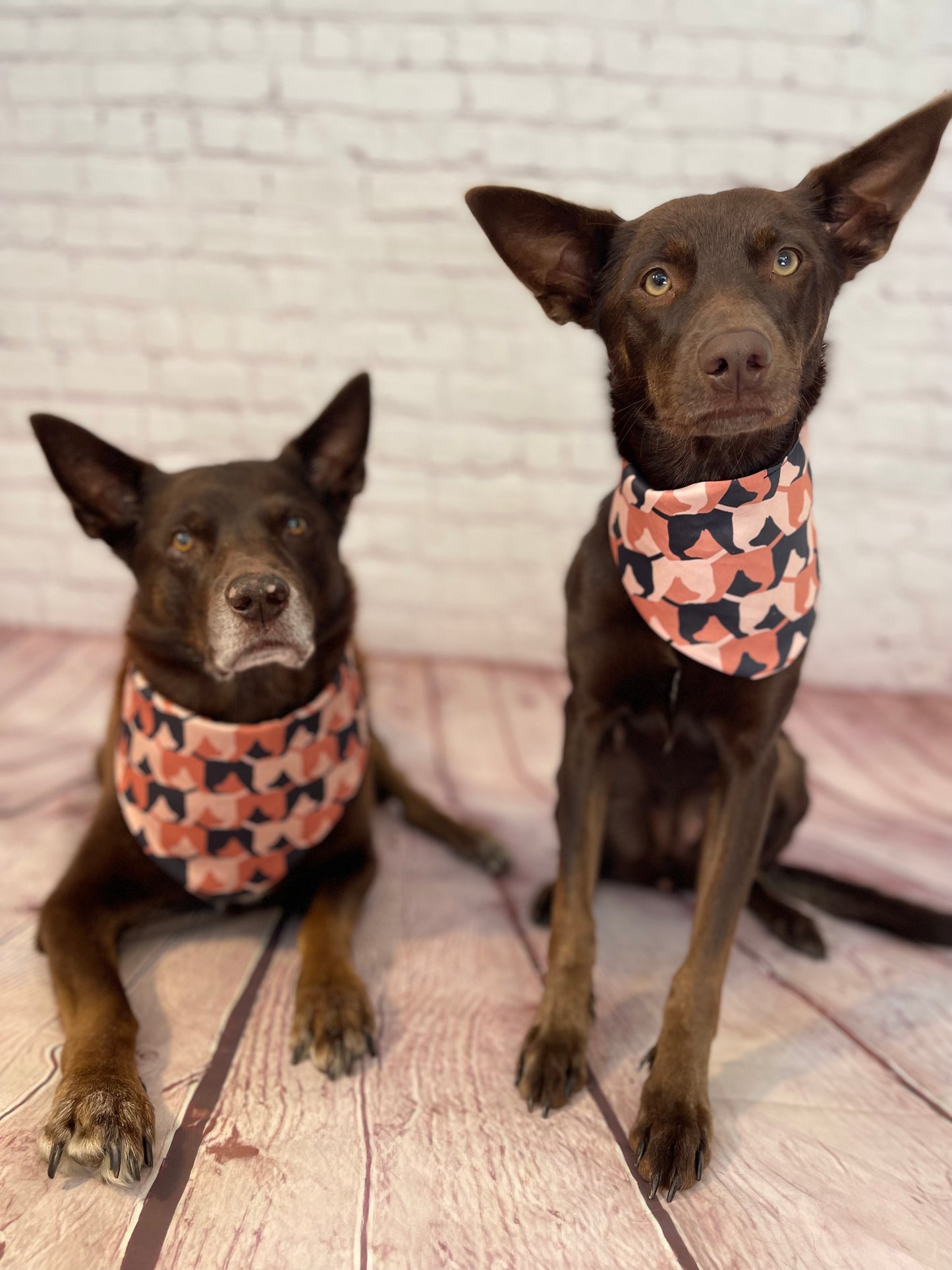 040 Organic Cotton Puppy Scarf