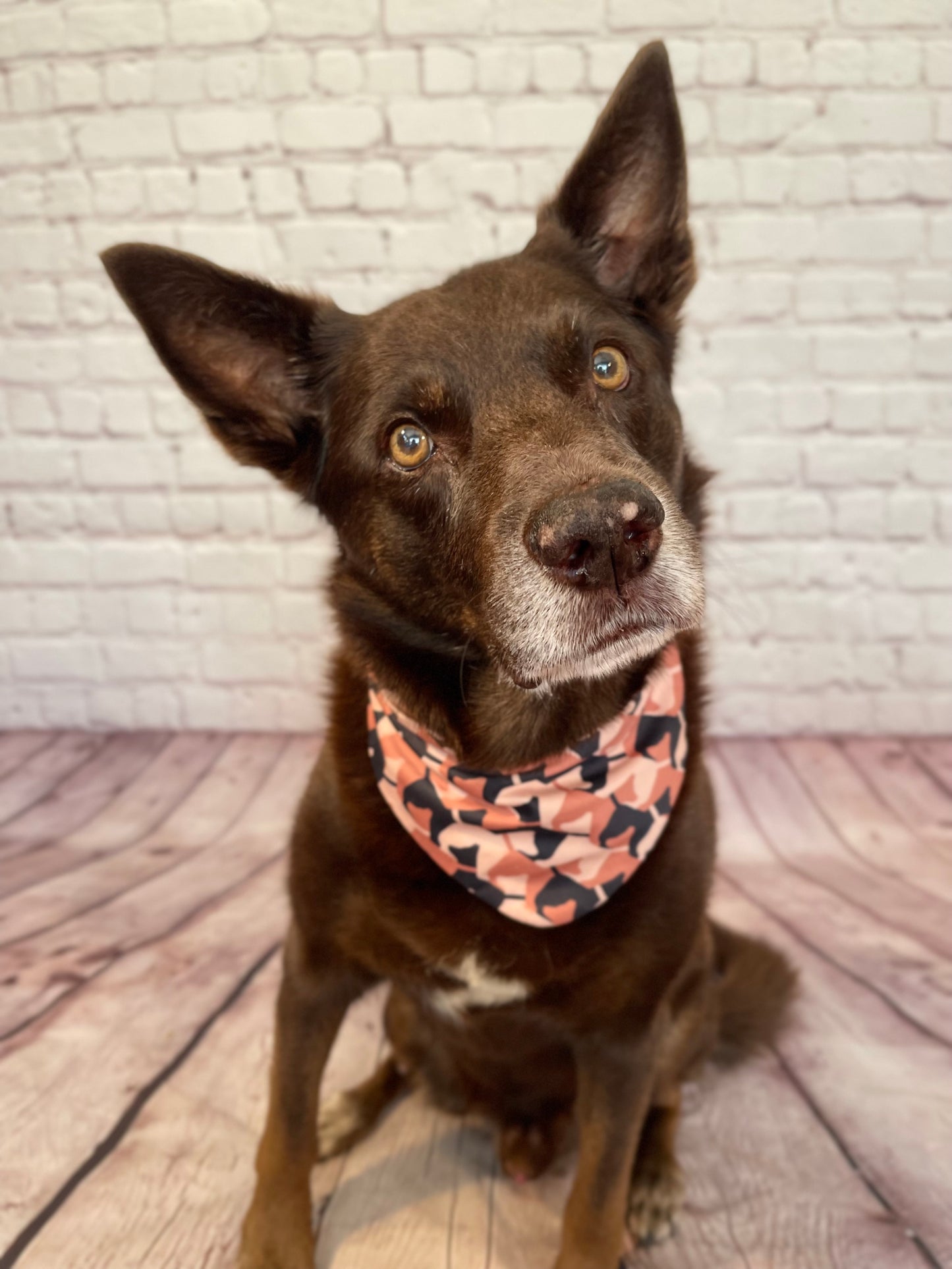 040 Organic Cotton Puppy Scarf