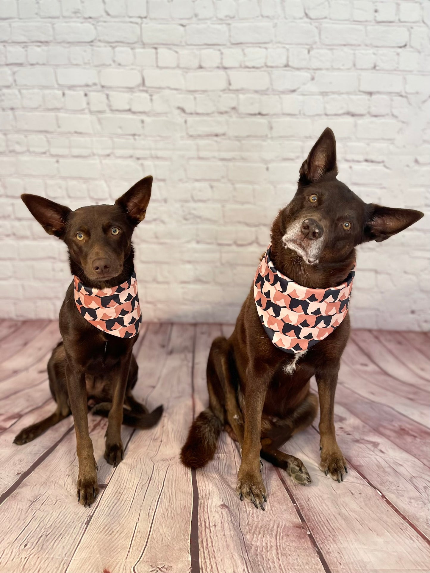 040 Organic Cotton Puppy Scarf