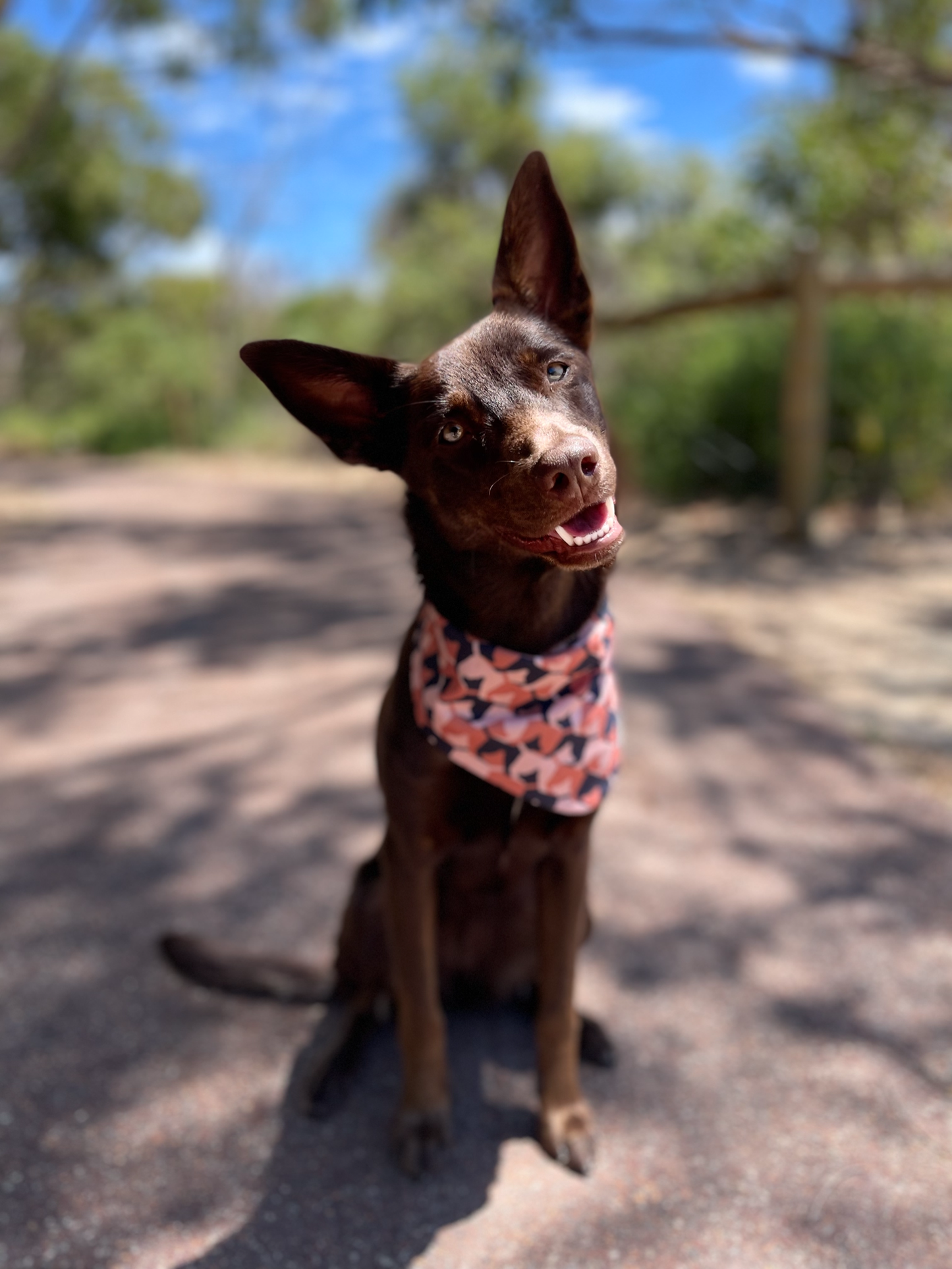 040 Organic Cotton Puppy Scarf